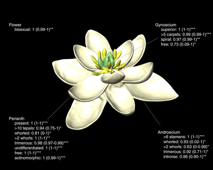 first flower, nature communications