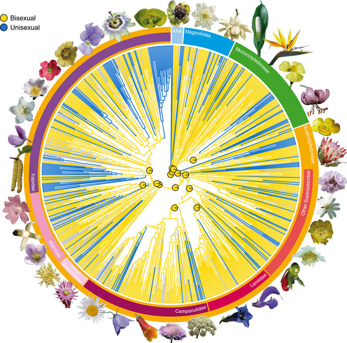 nature communications