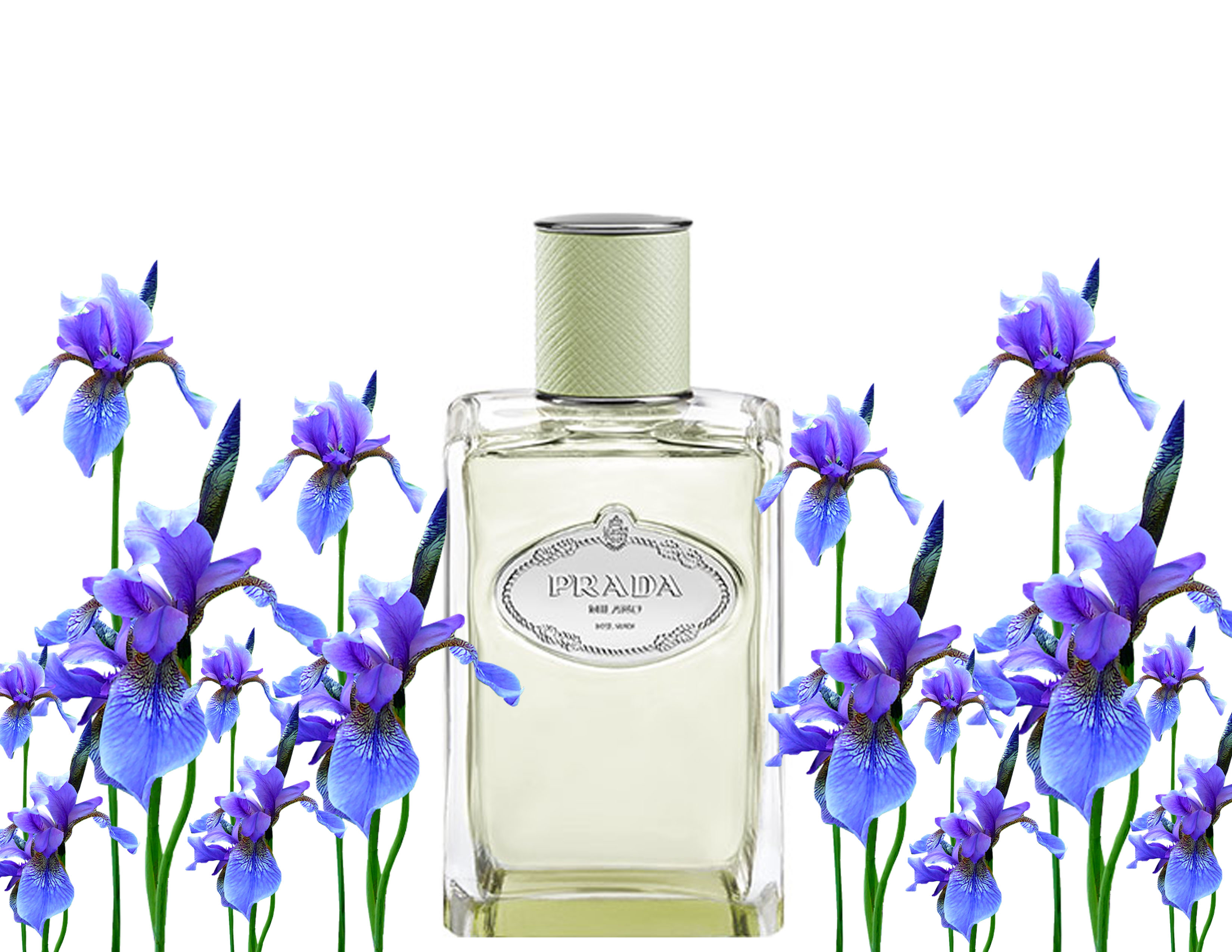 Les Infusions Prada Iris