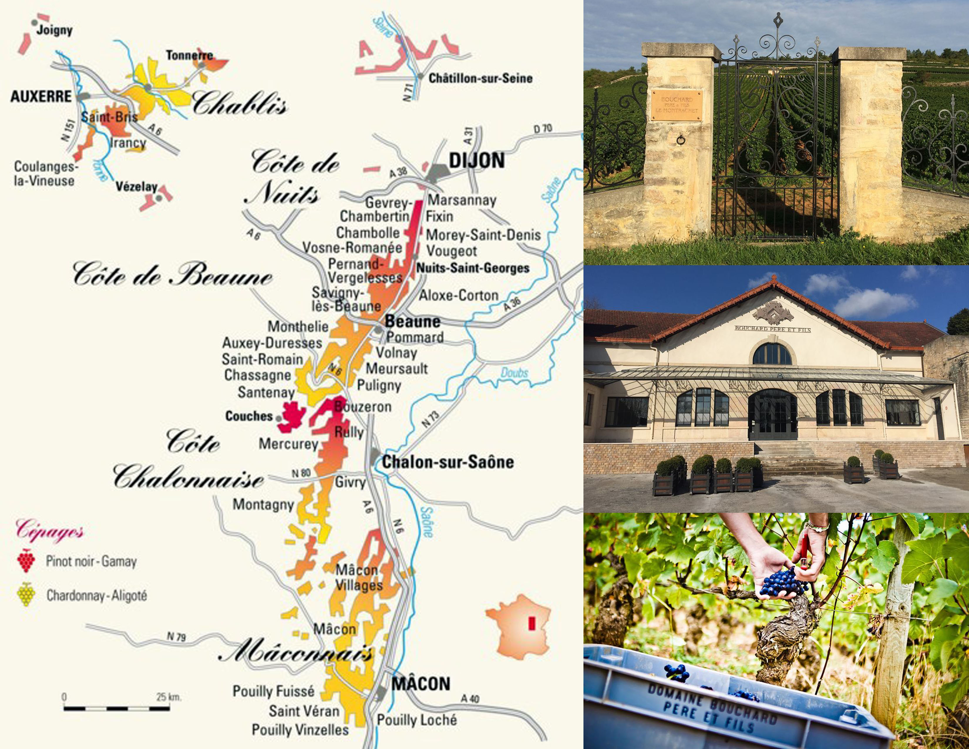 Bouchard Pere&Fils Map