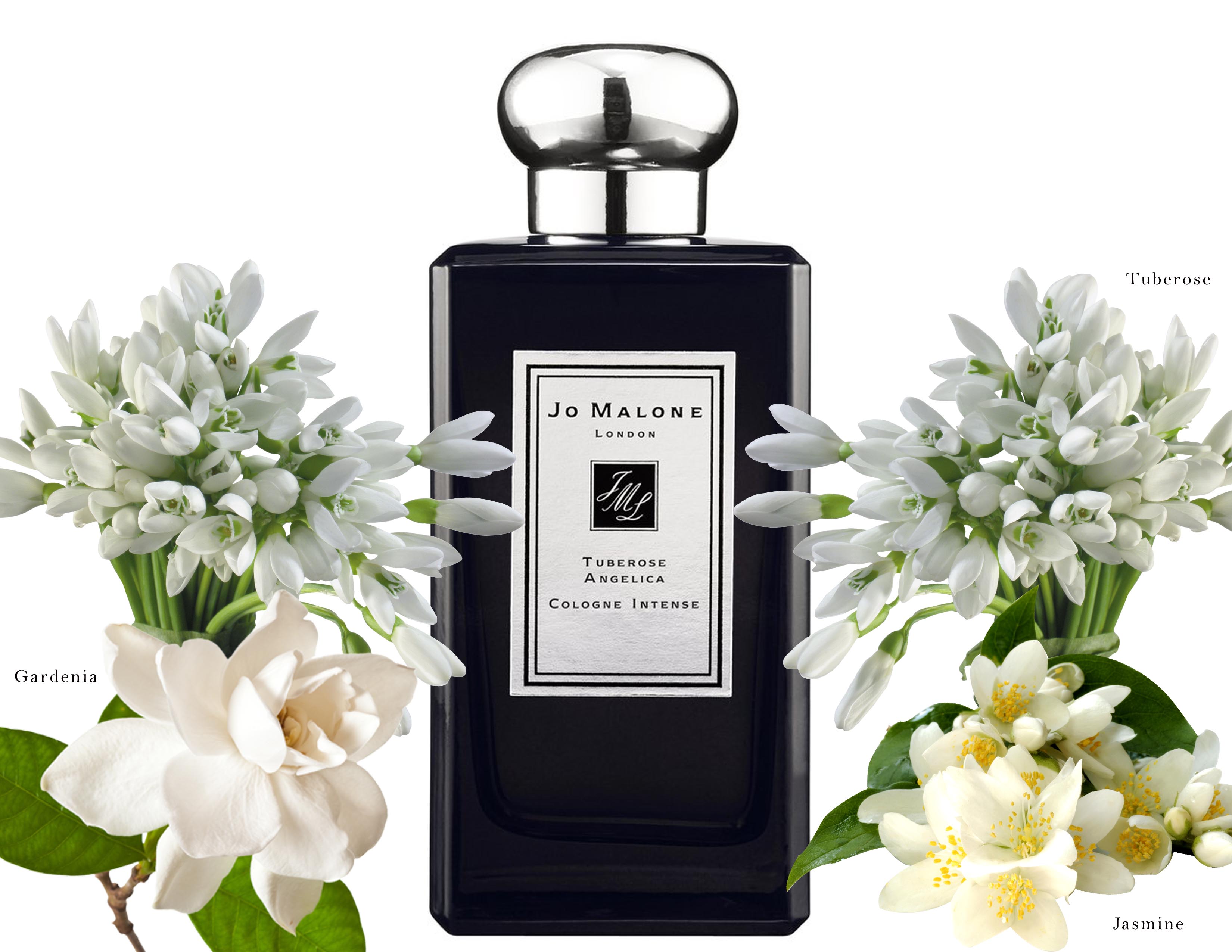 Jo Malone Tuberose Angelica Cologne