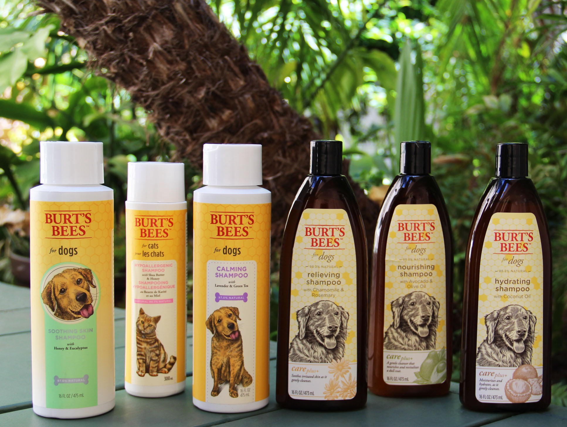 Burt Bees Products.