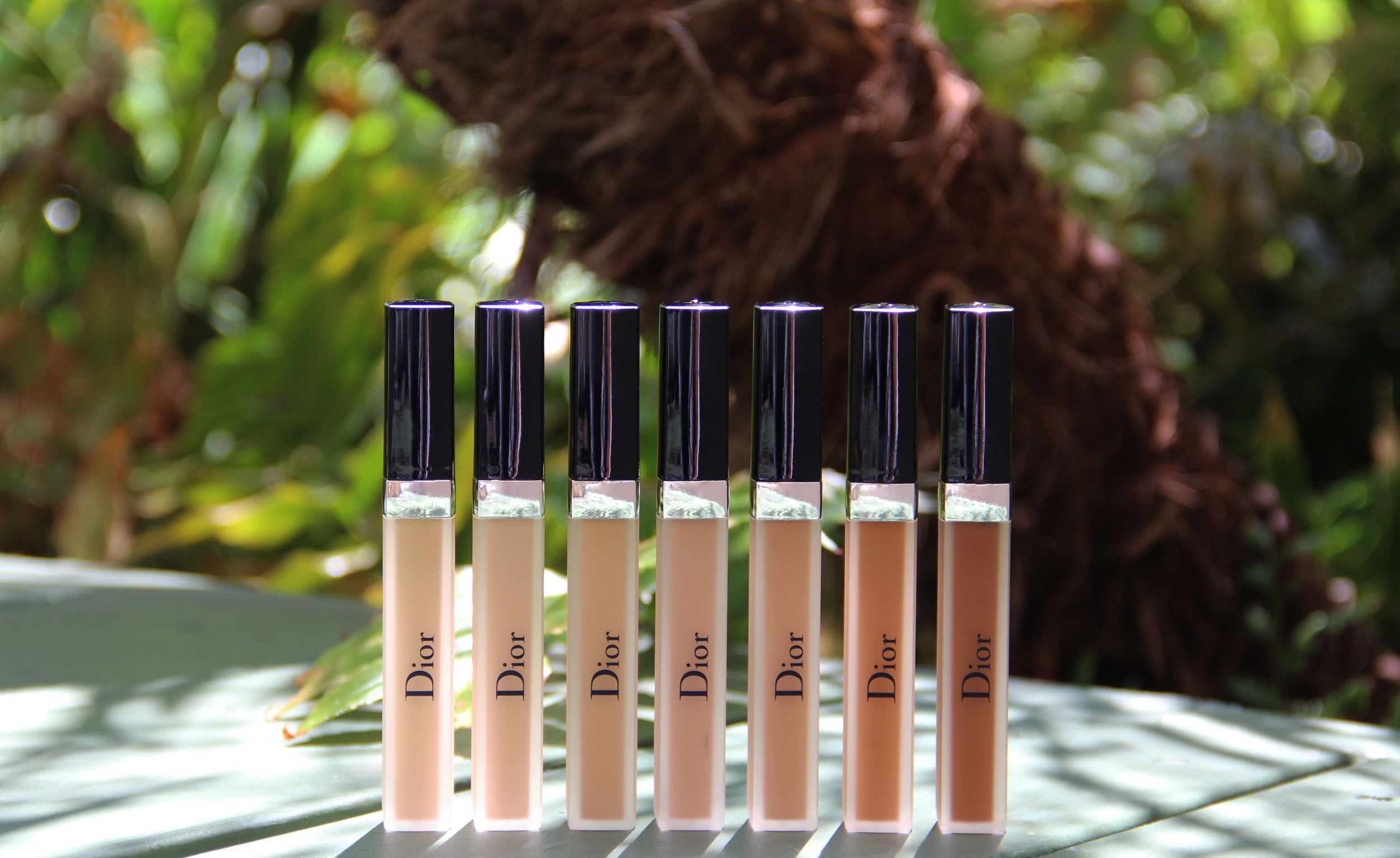 Dior Concealers