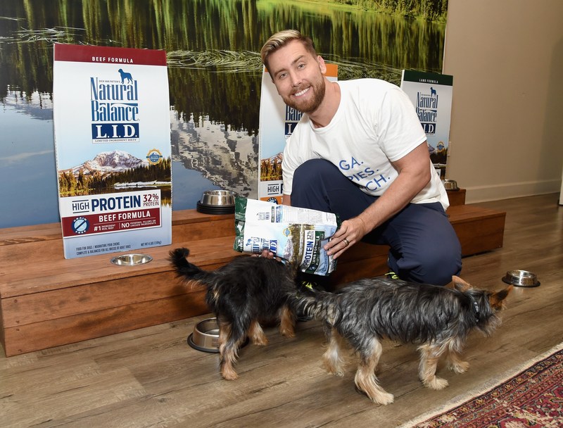 Lance Bass & his dogs