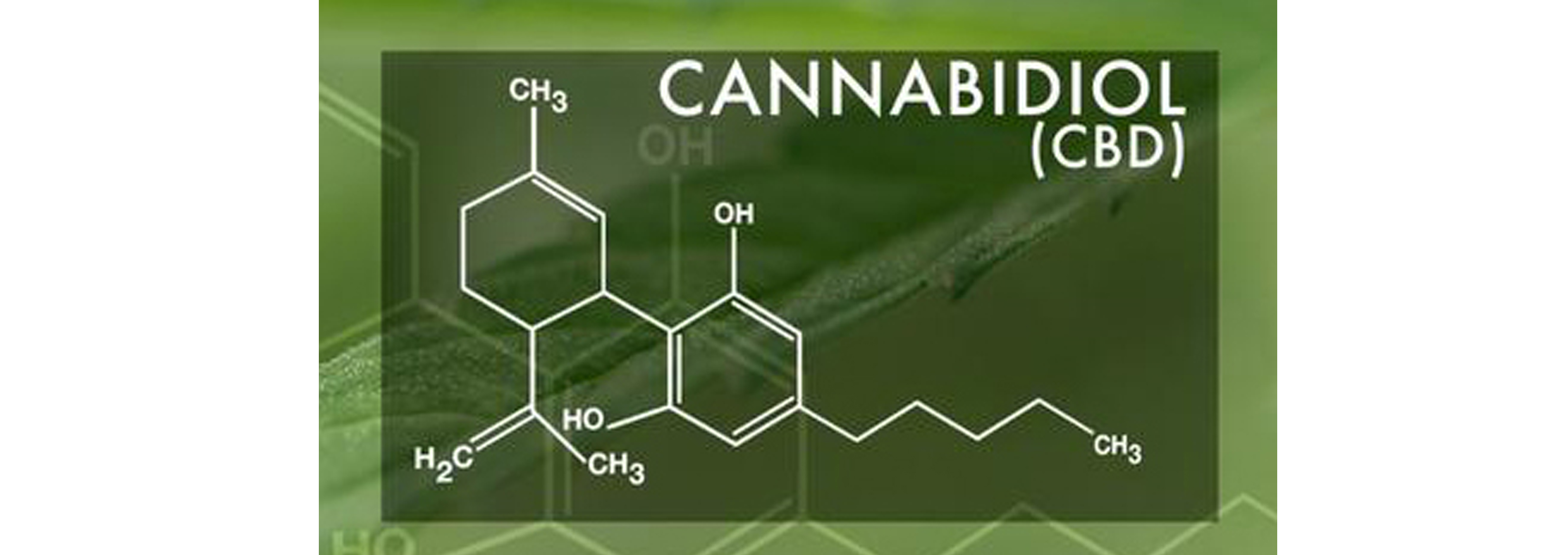 CBD Molecule