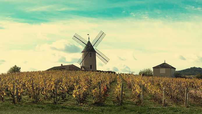 Domaine Labruyere Estate