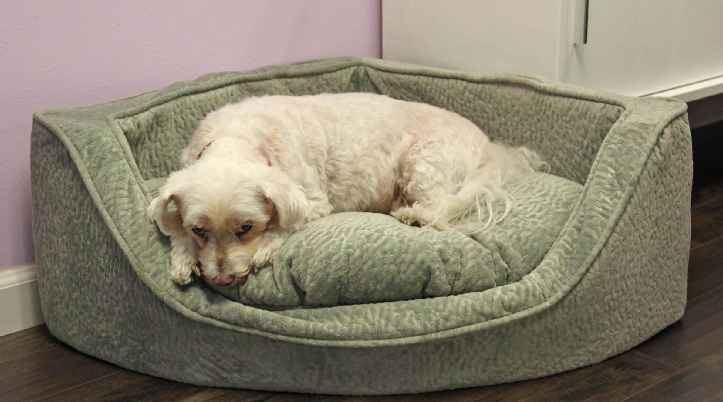 snoozer luxury dog corner bed