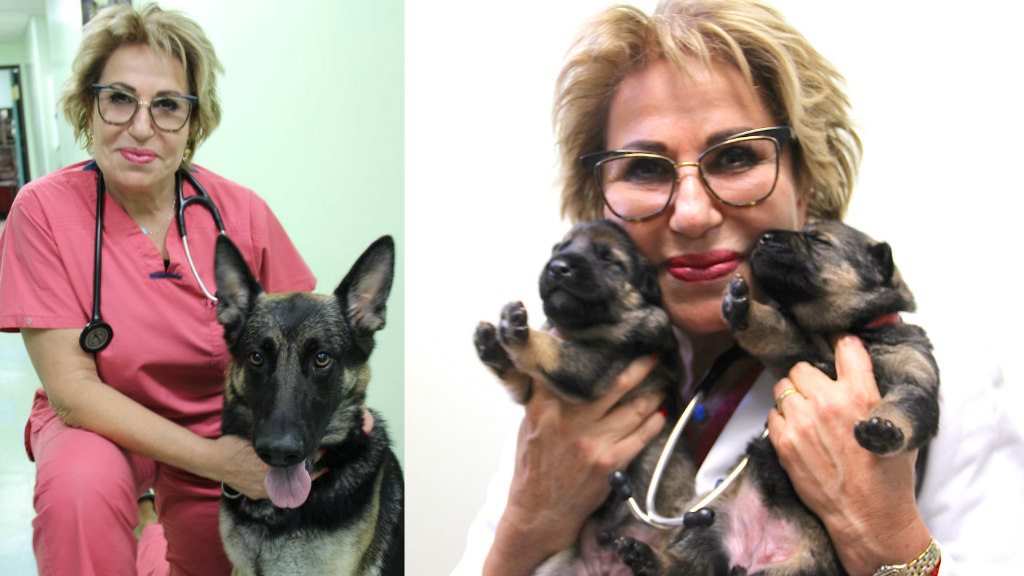 Dr. Marina Kotlarenko, Cahuenga Pet Hospital, Bravecto