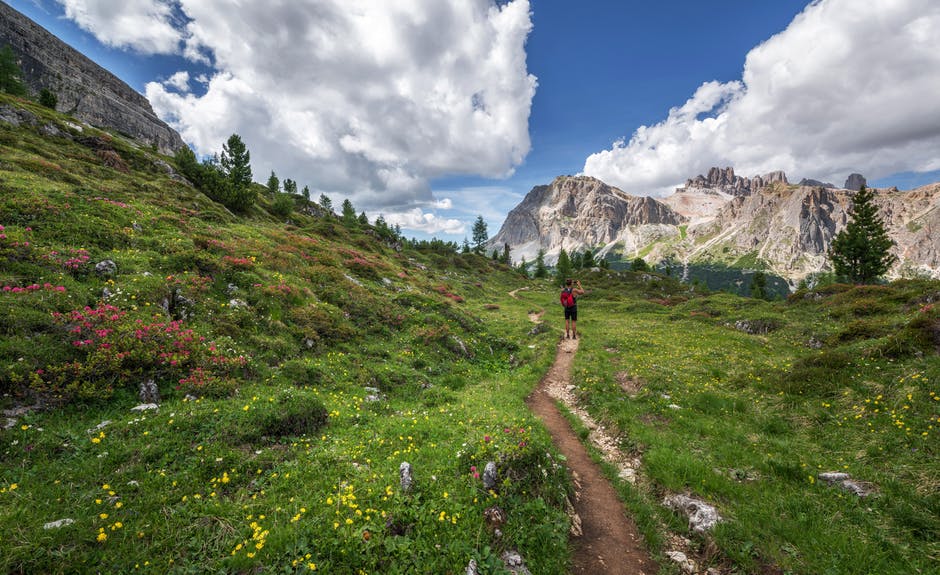 national forest foundation, summer of trails