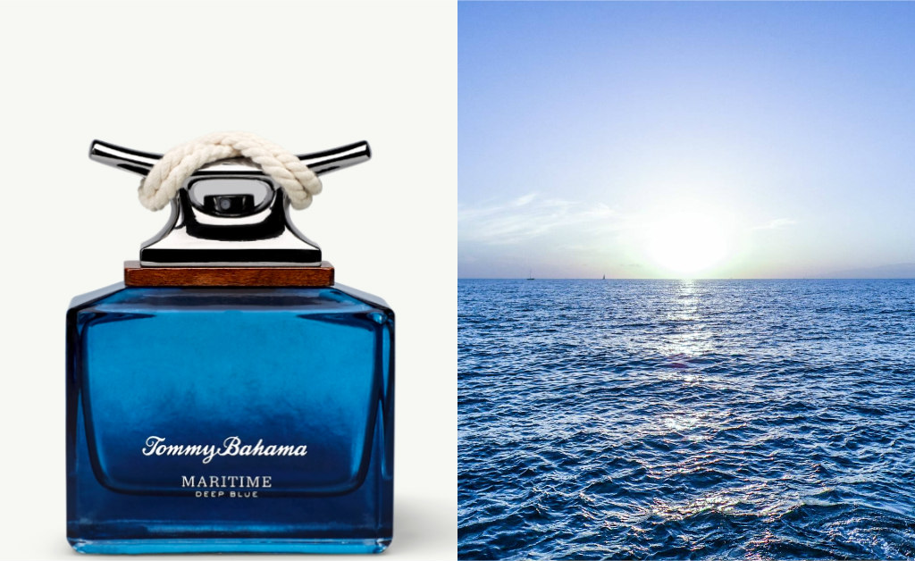 blue maritime, Tommy bahama