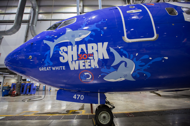 shark week, southwest