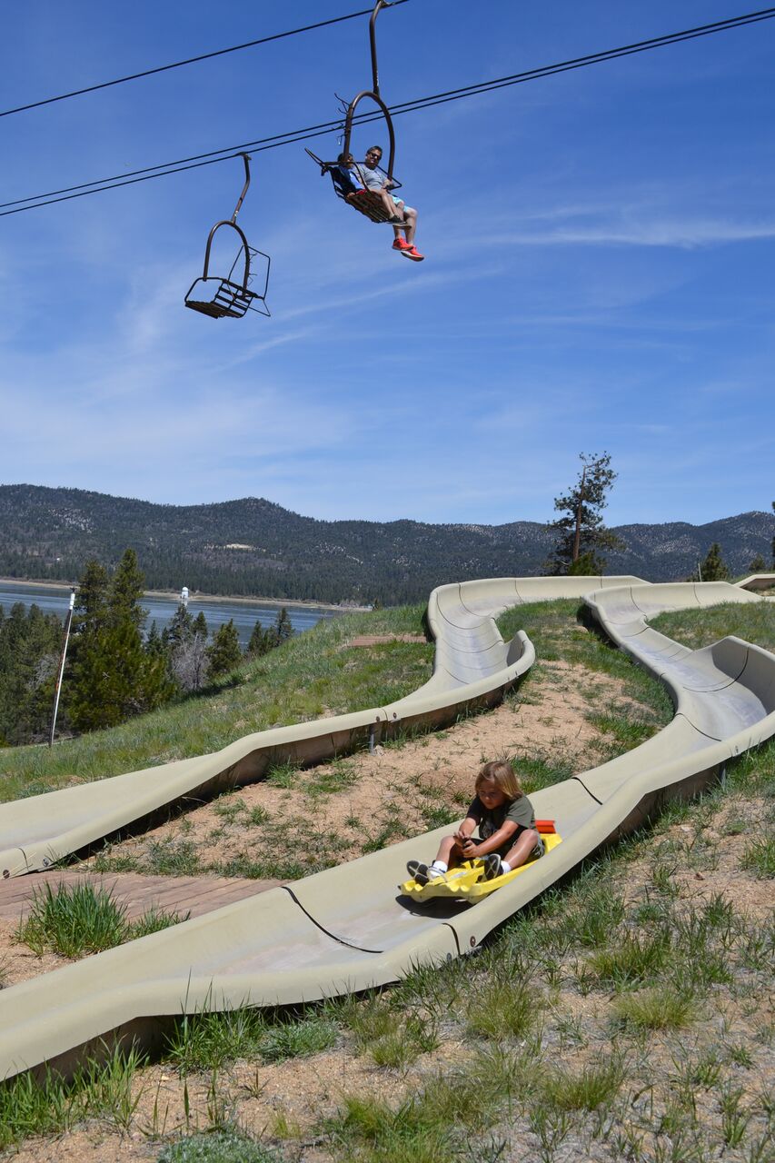 big bear alpine