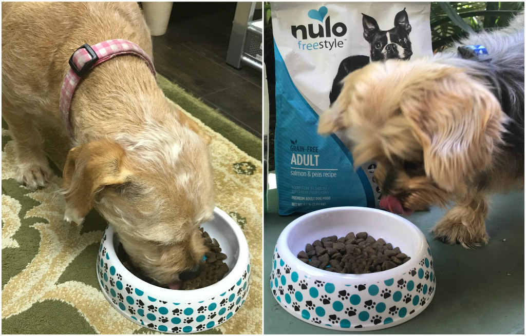 nulo pet food, laurie, elvis