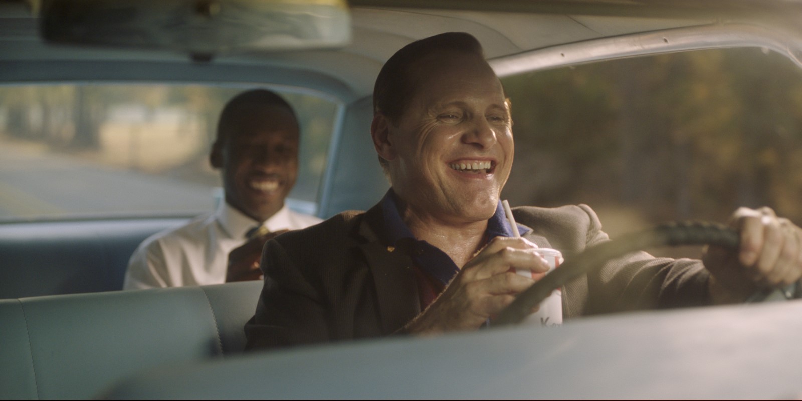 Green Book, film review, Lucas Mirabella