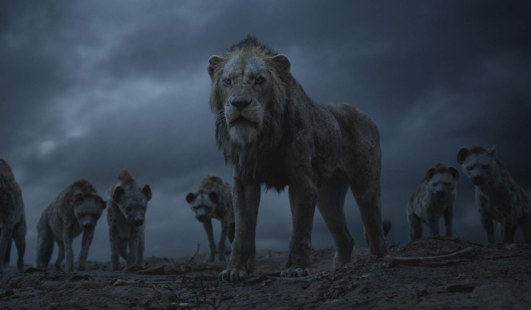 The Lion King, film review, Lucas Mirabella