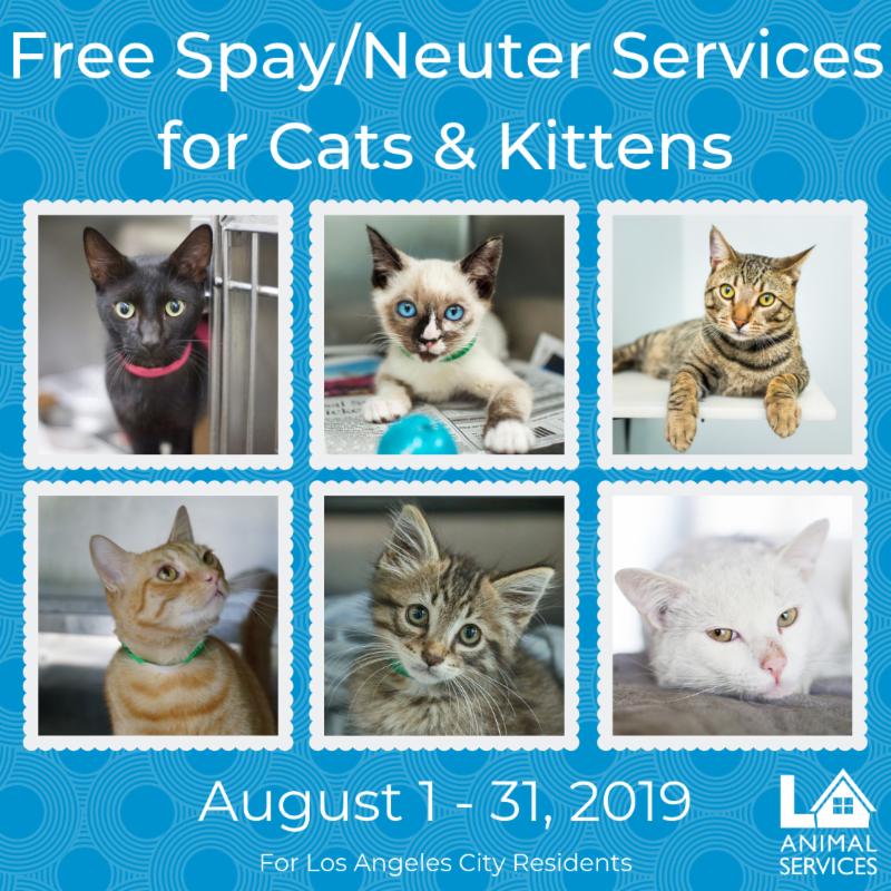 free spay and neuter los angeles, la animal services