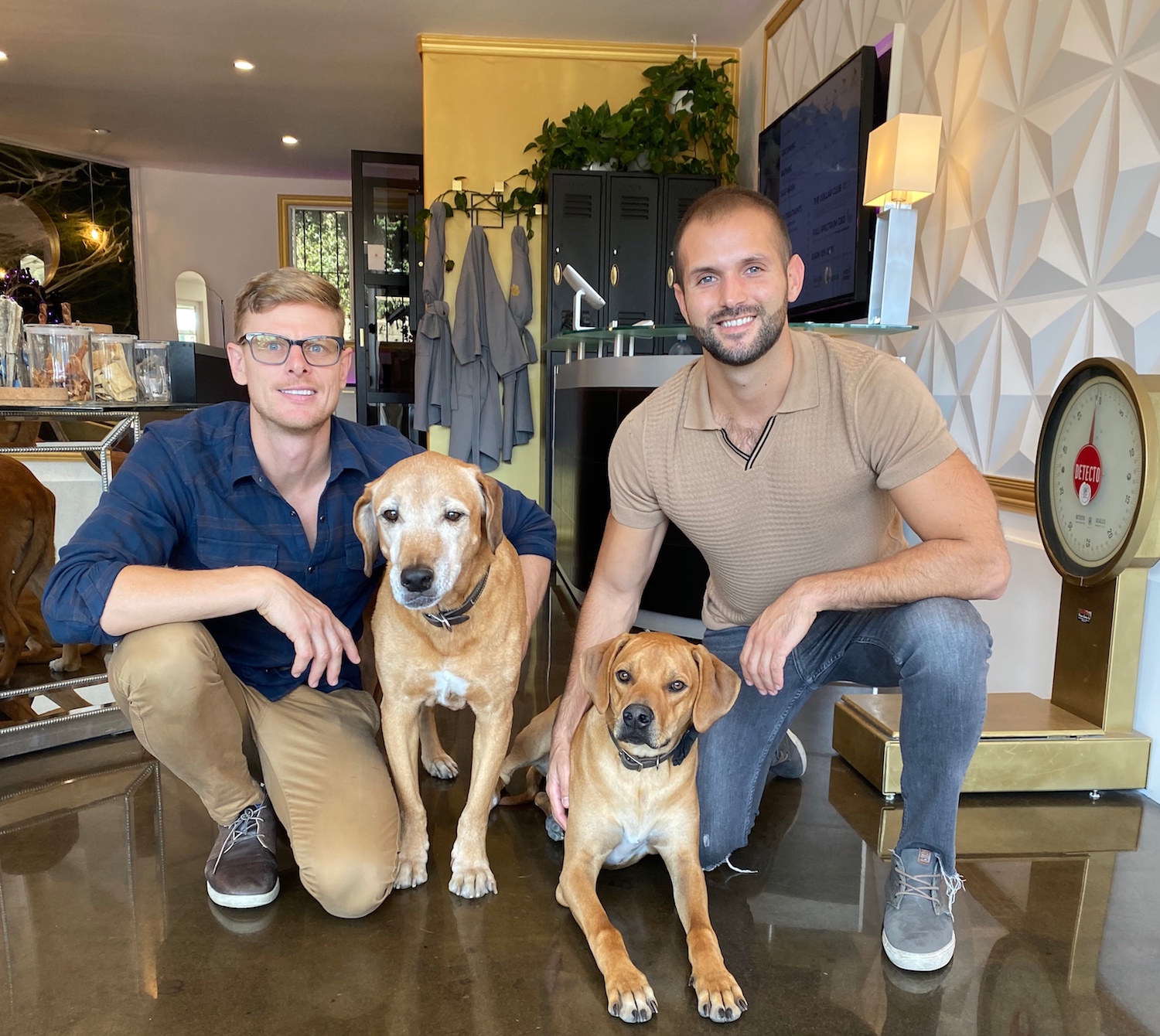 Comb and collar grooming sale