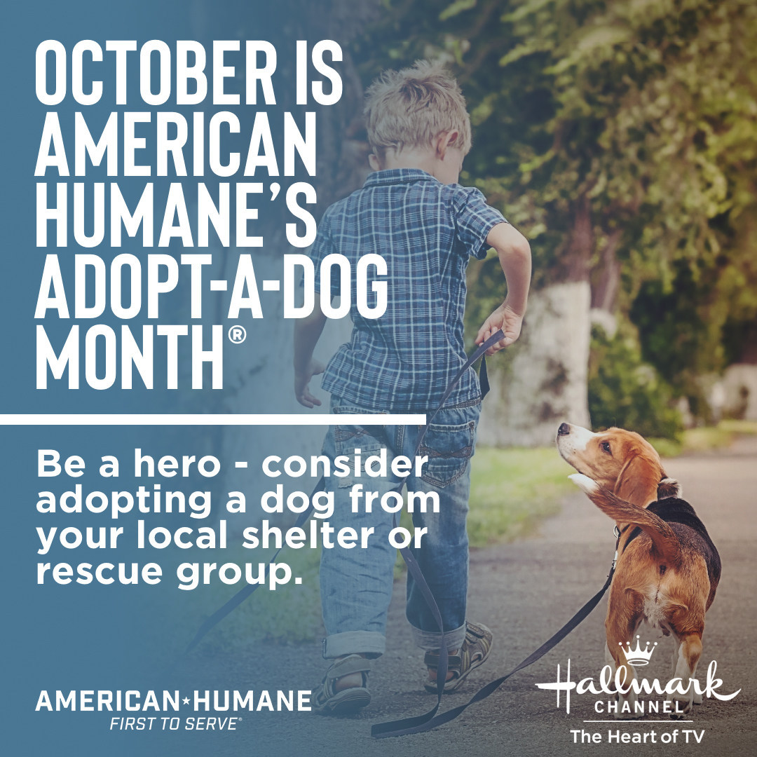 adopt a dog month, hallmark