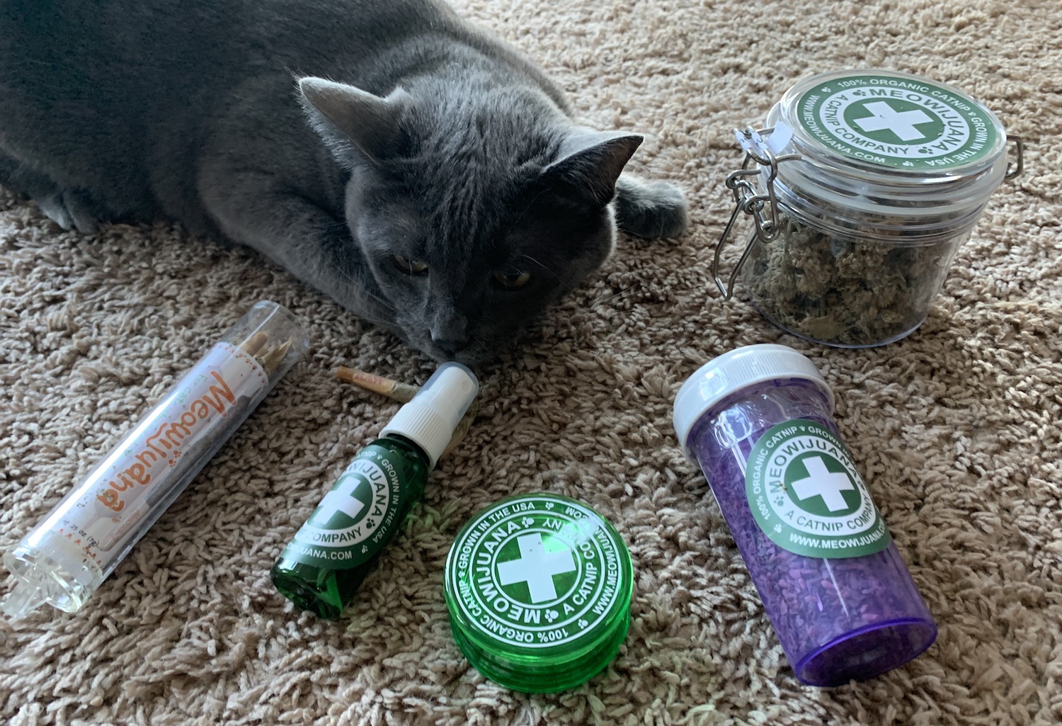 meowijuana, national cat day, catnip