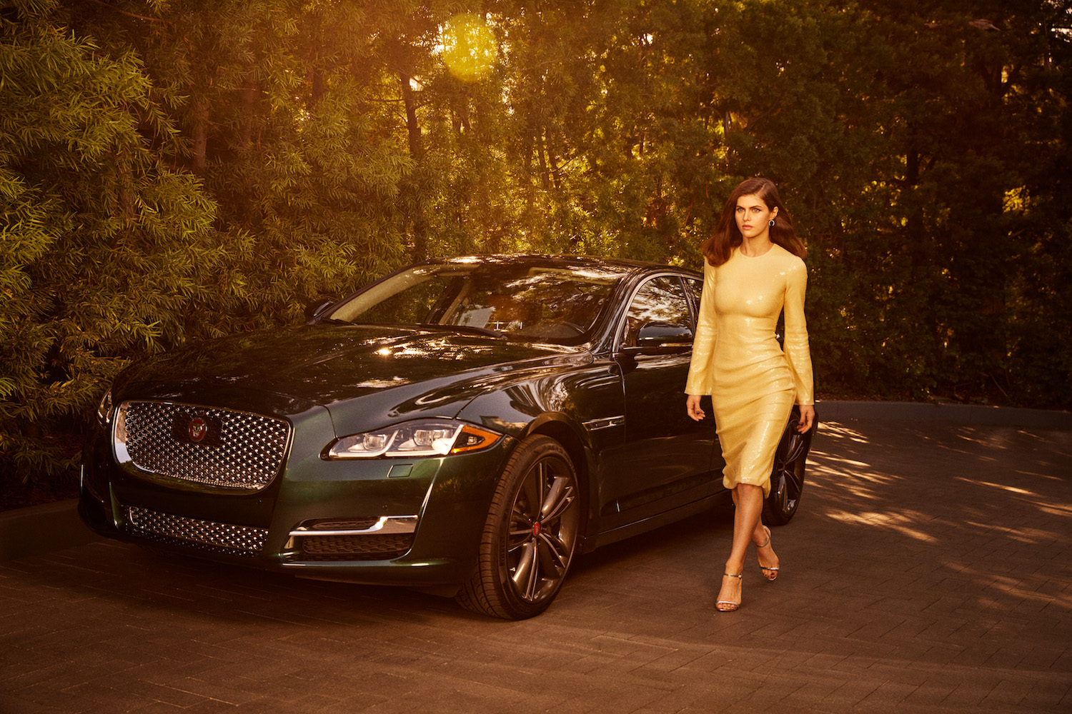 jaguar, alexandra daddario