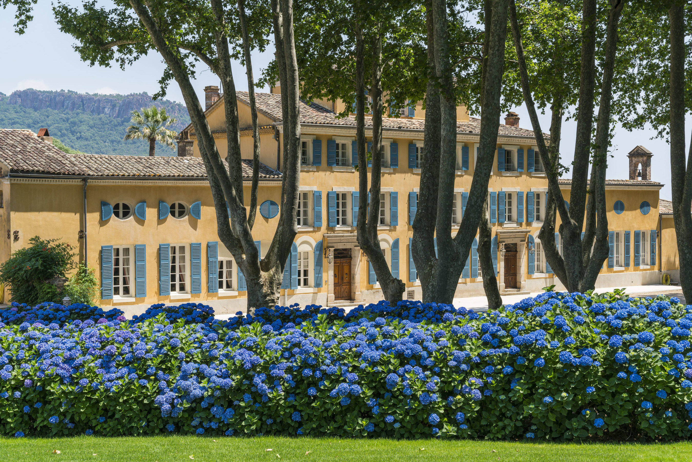 chateau d'esclans, moet