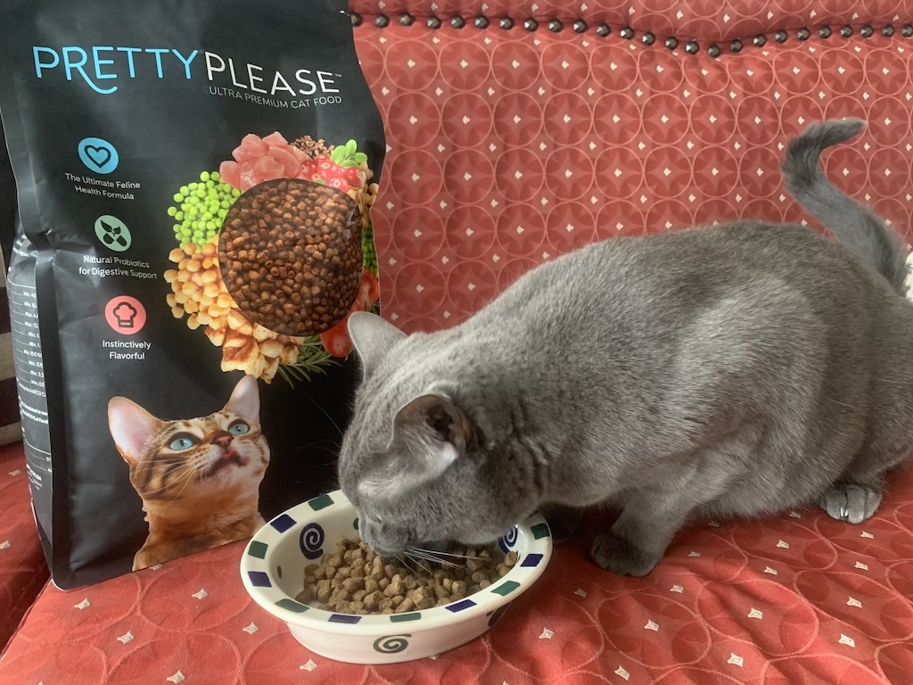 Cat Foodie PrettyPlease Is Healthy & Delicious LATF USA