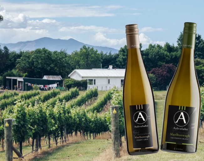 astrolabe wines new zealand