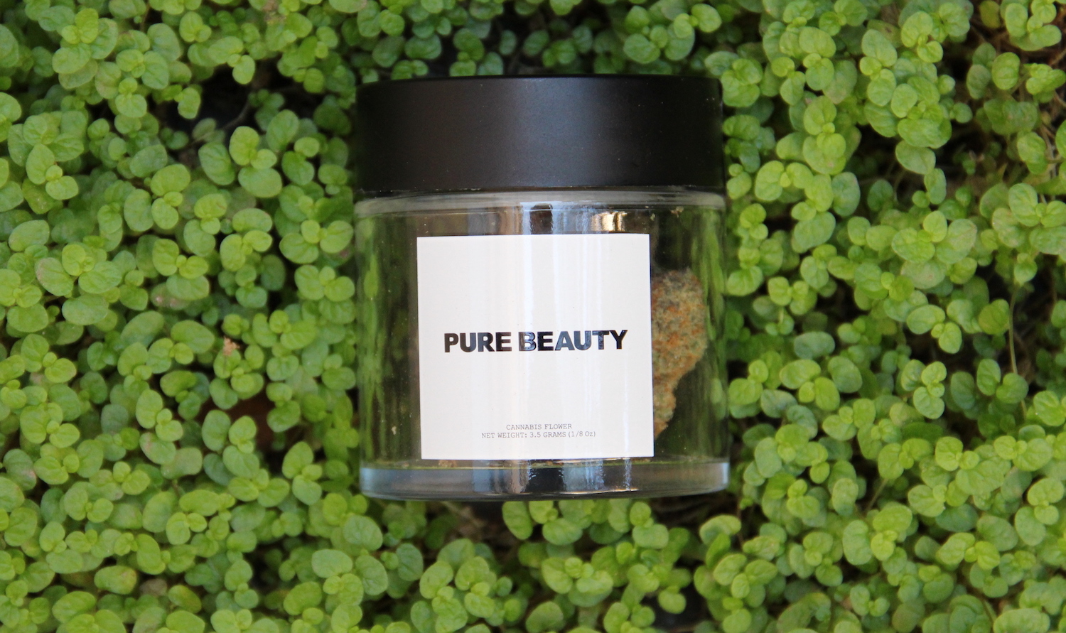pure beauty, cbd, cannabis, strain, joints