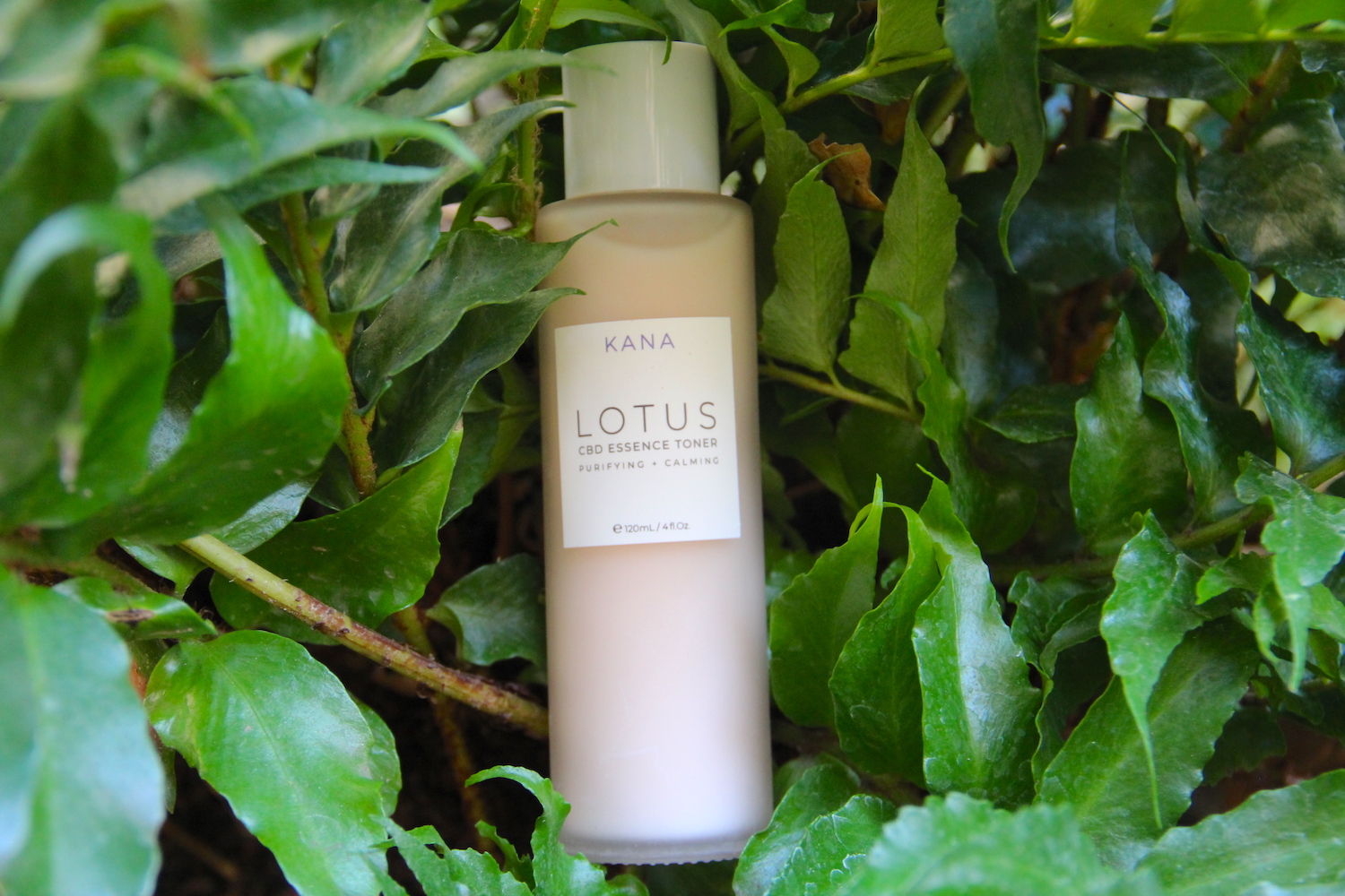 kana skincare, cbd lotus toner