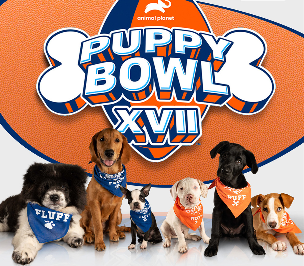 puppy bowl