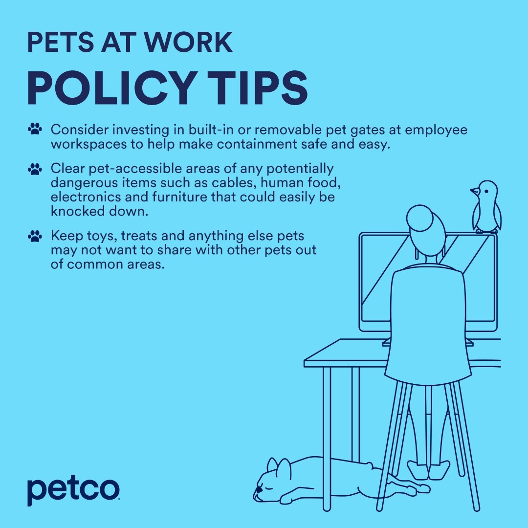 PETCO Urges Offices To Go PetFriendly For Mental & Physical Health