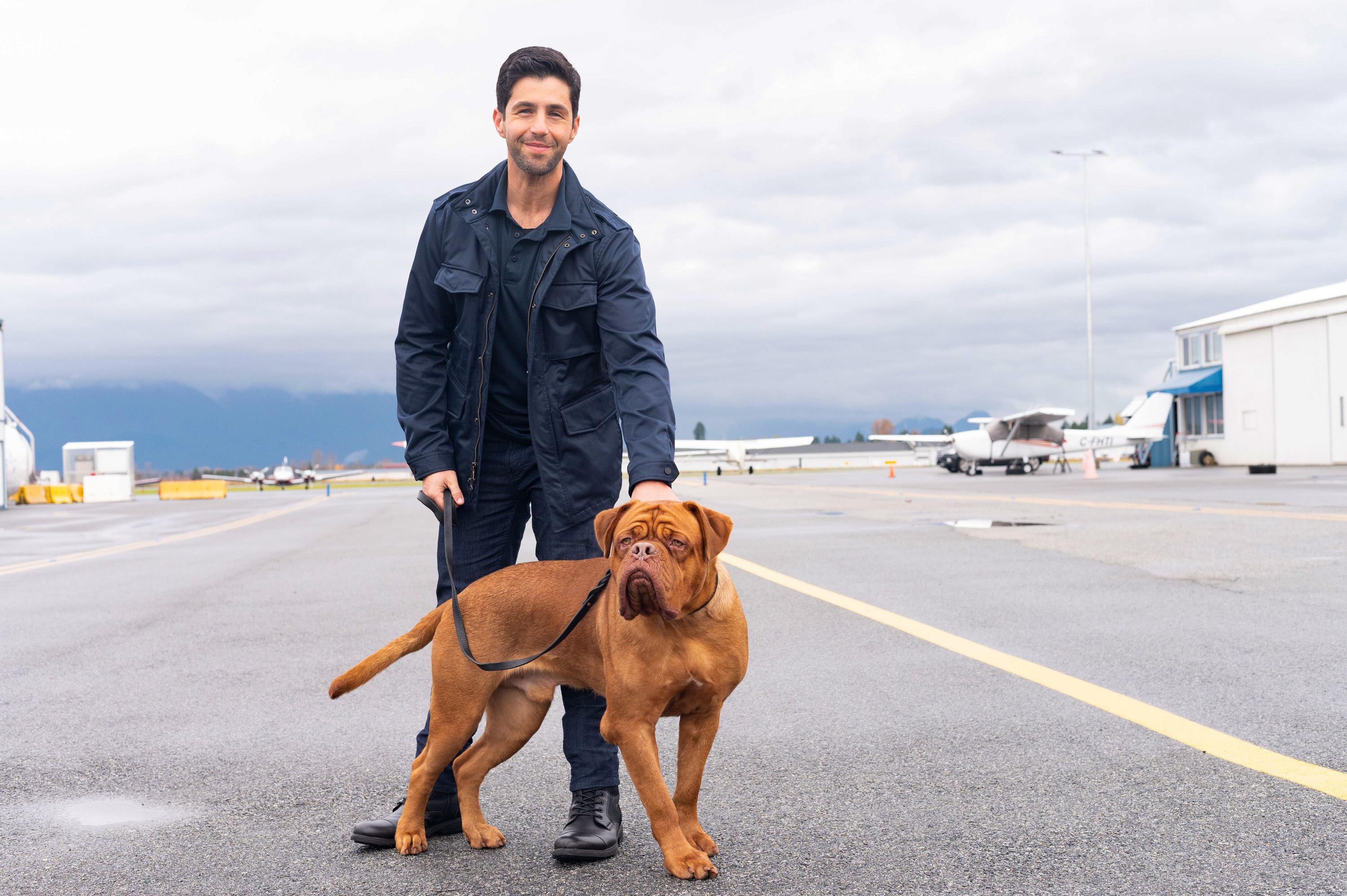 turner and hooch, josh peck