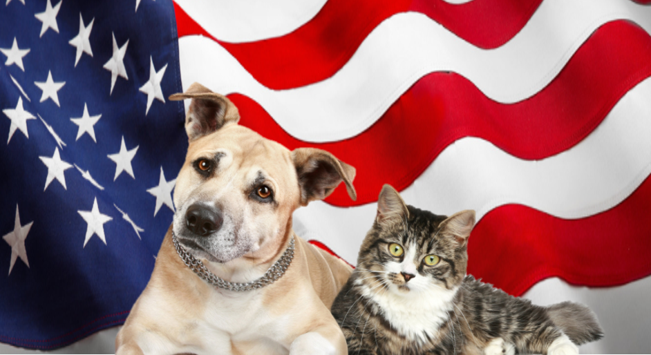 animal safety tips, 4th of july
