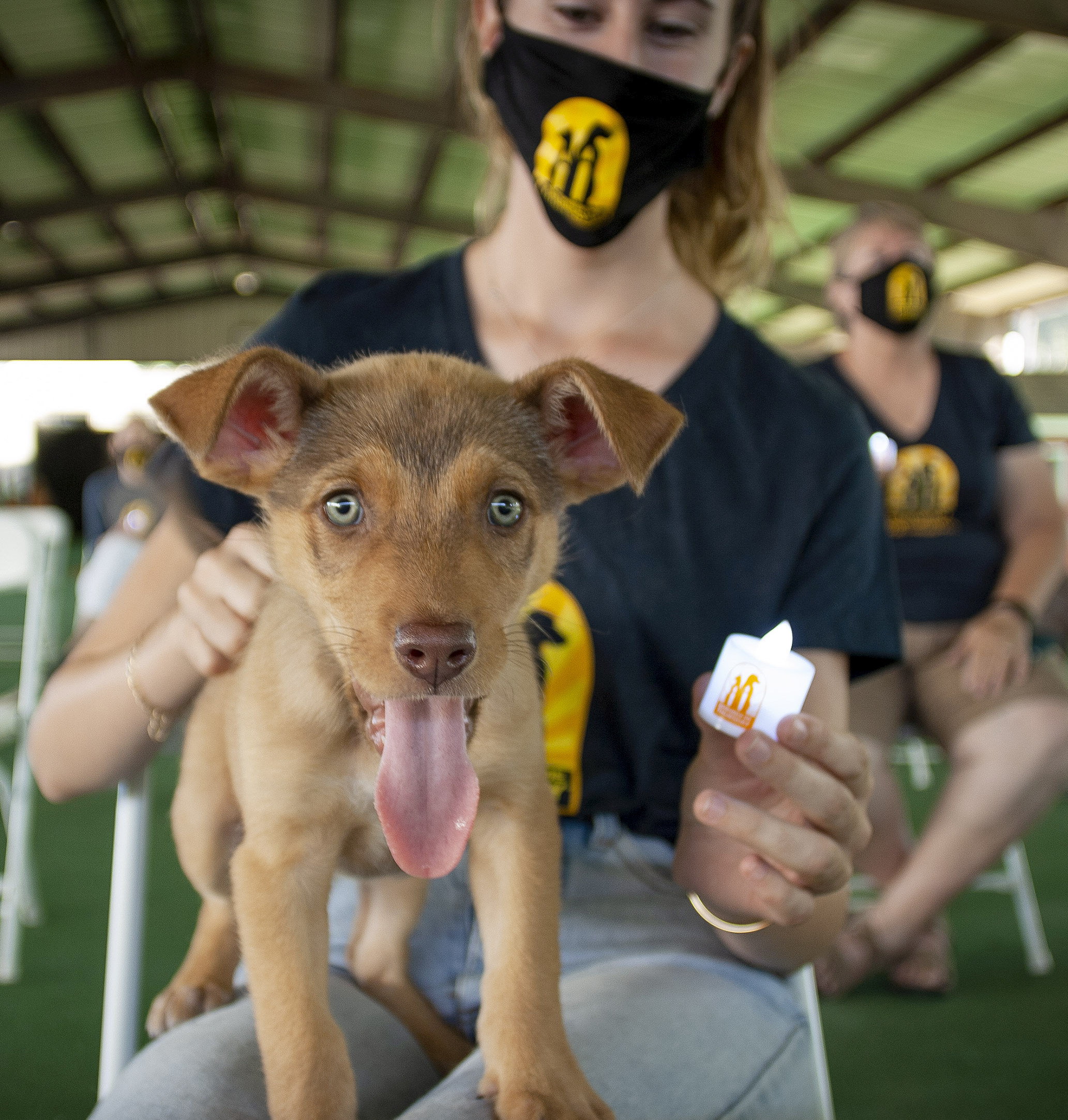 remember me thursday, helen woodward animal center, adopt