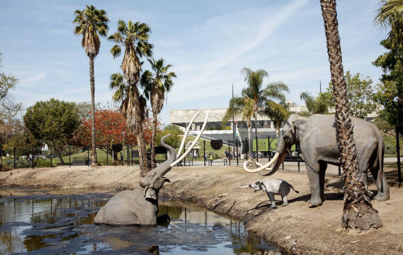   Natural History Museums of Los Angeles County   Announce Fall Programming
