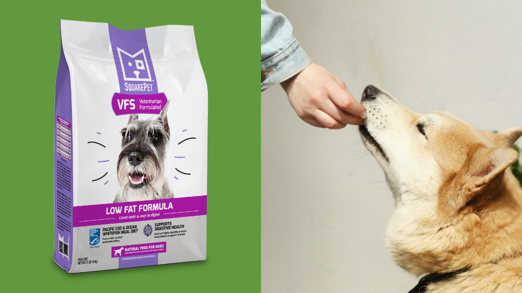 square pet dog food