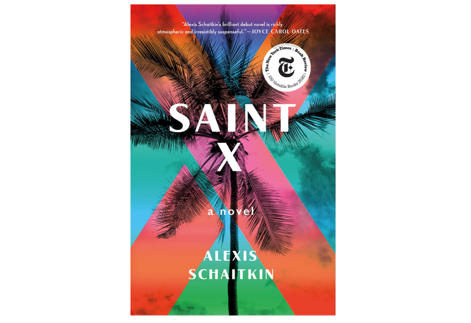 hulu, saint x, book, 