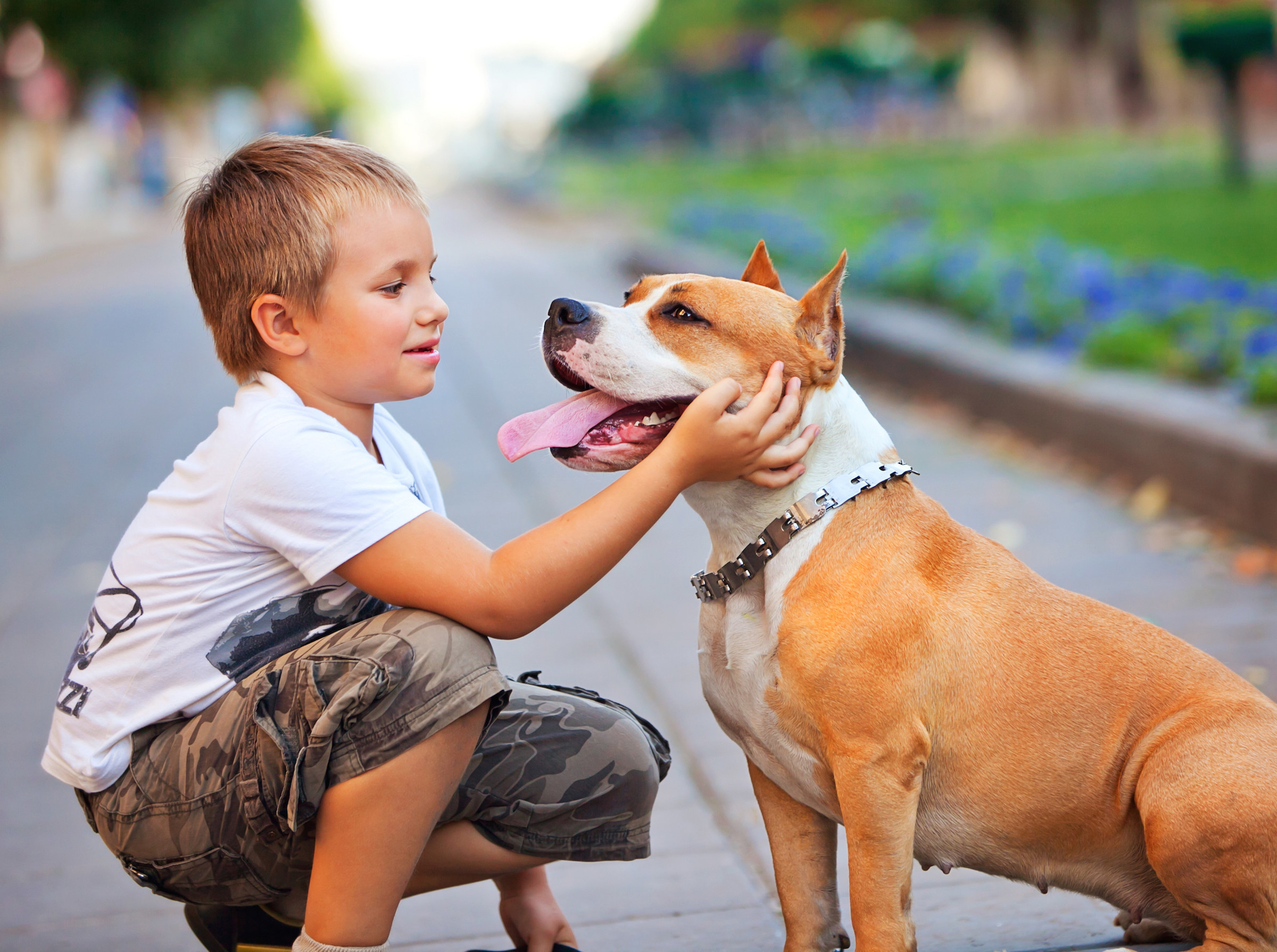 Best pet friends. Стаффордширский терьер и дети. Собака для детей. Домашние животные для детей. Дети с животными.