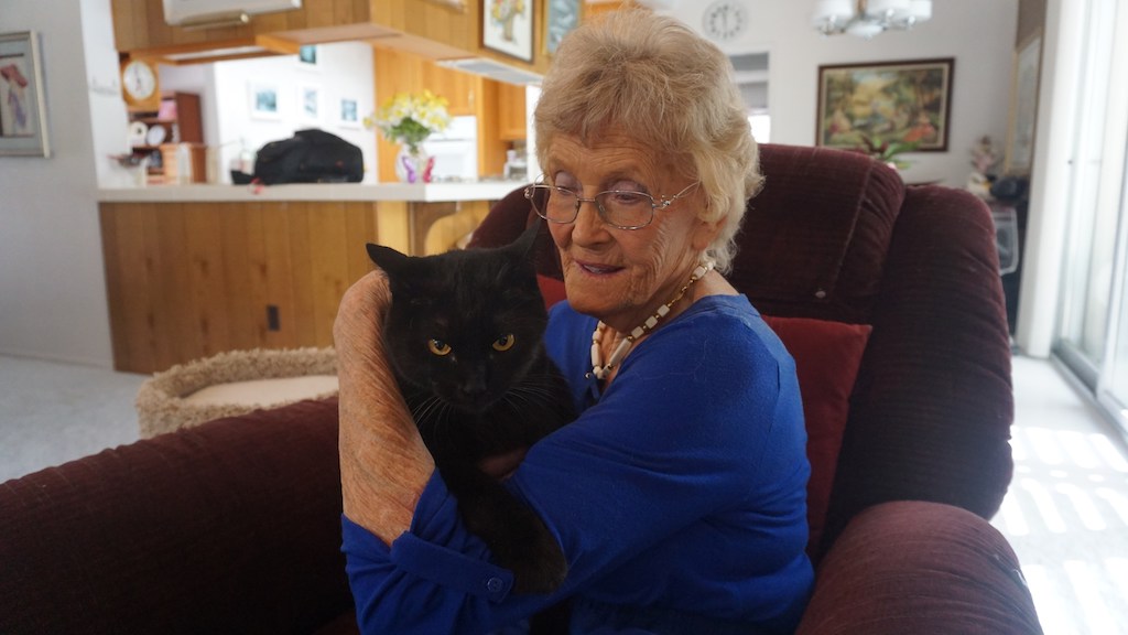Helen Woodward Animal Center Sets Out To Help Senior Pet Owners | LATF USA NEWS Helen Woodward Animal Center Sets Out To Help Senior Pet Owners | LATF USA NEWS