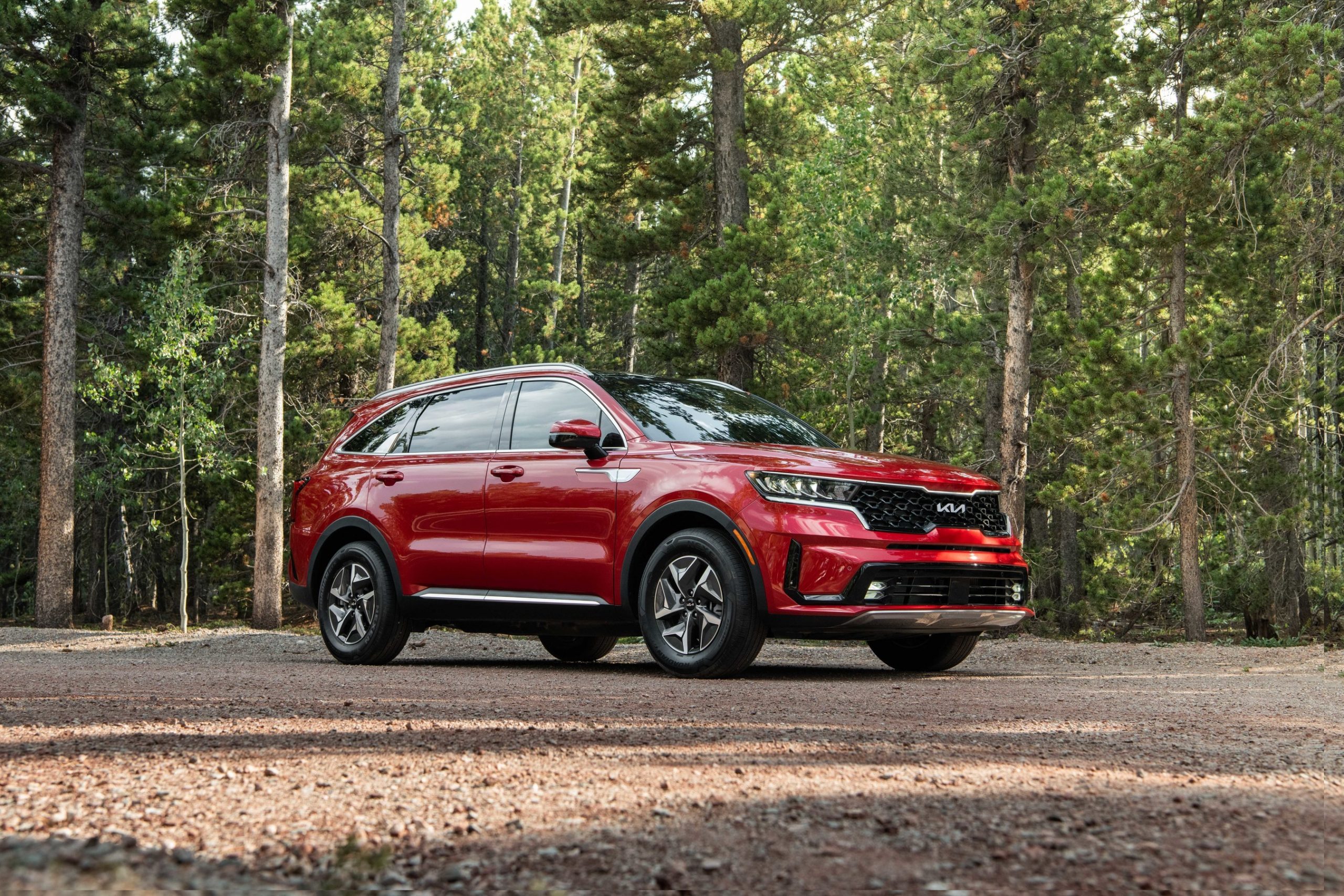 sorento, kia, 2023