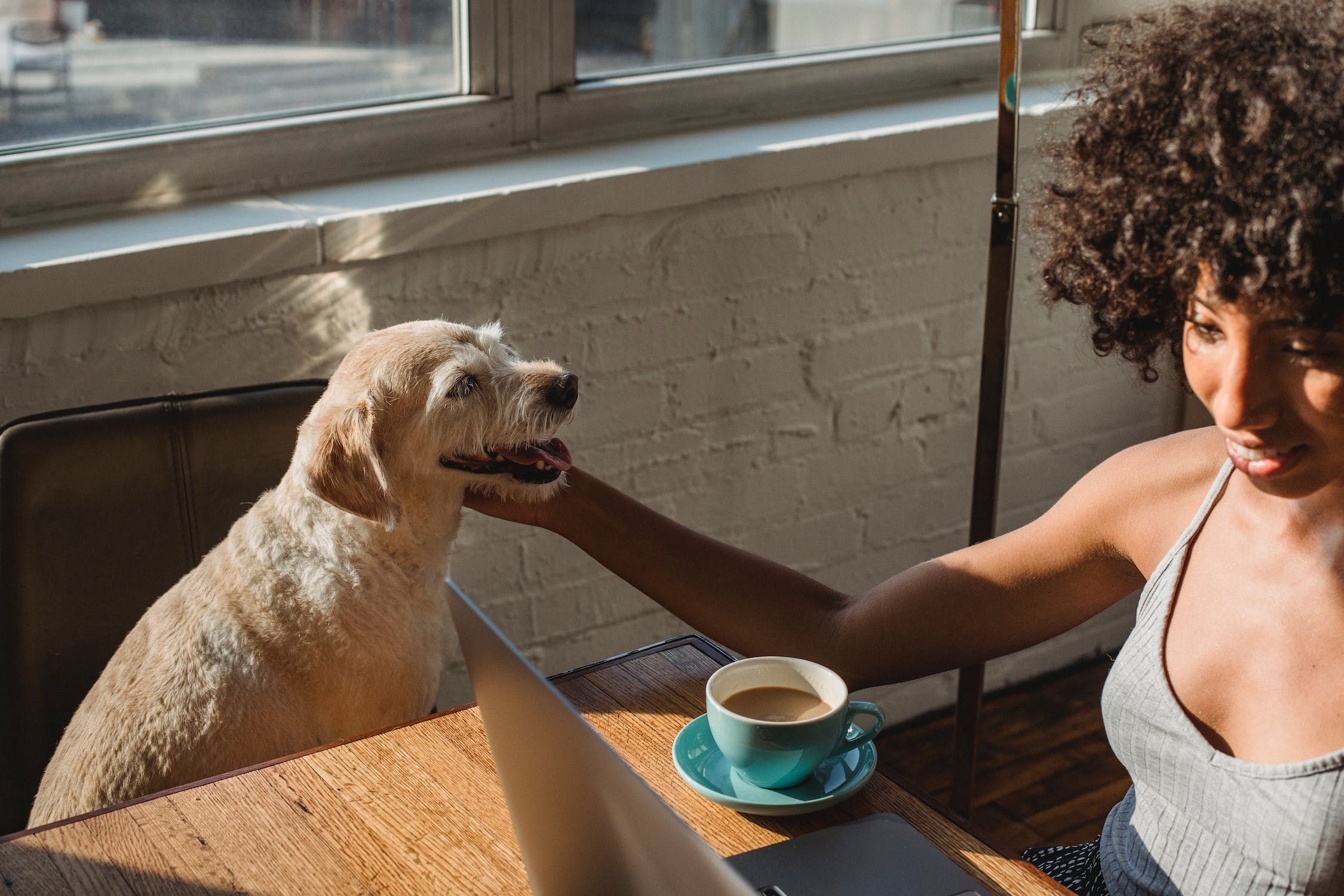 grounds & hounds coffee