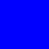 LATF Sports Staff