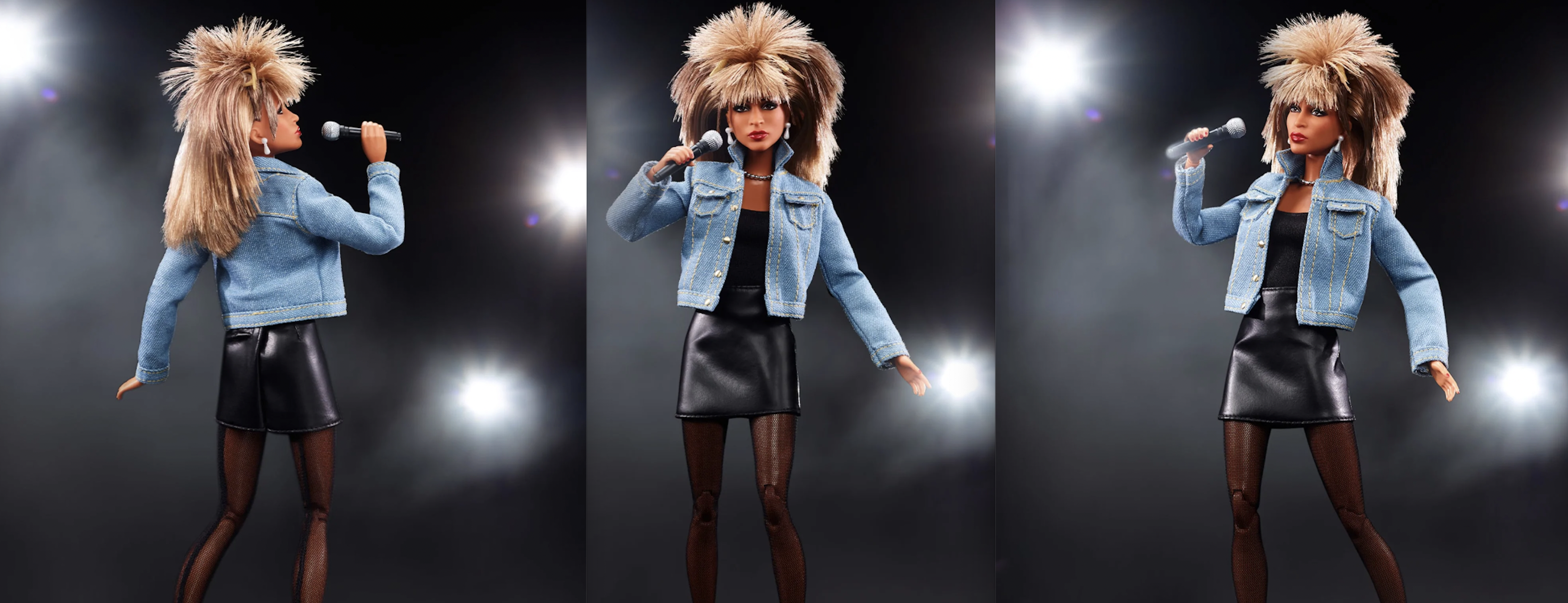 tina turner, barbie