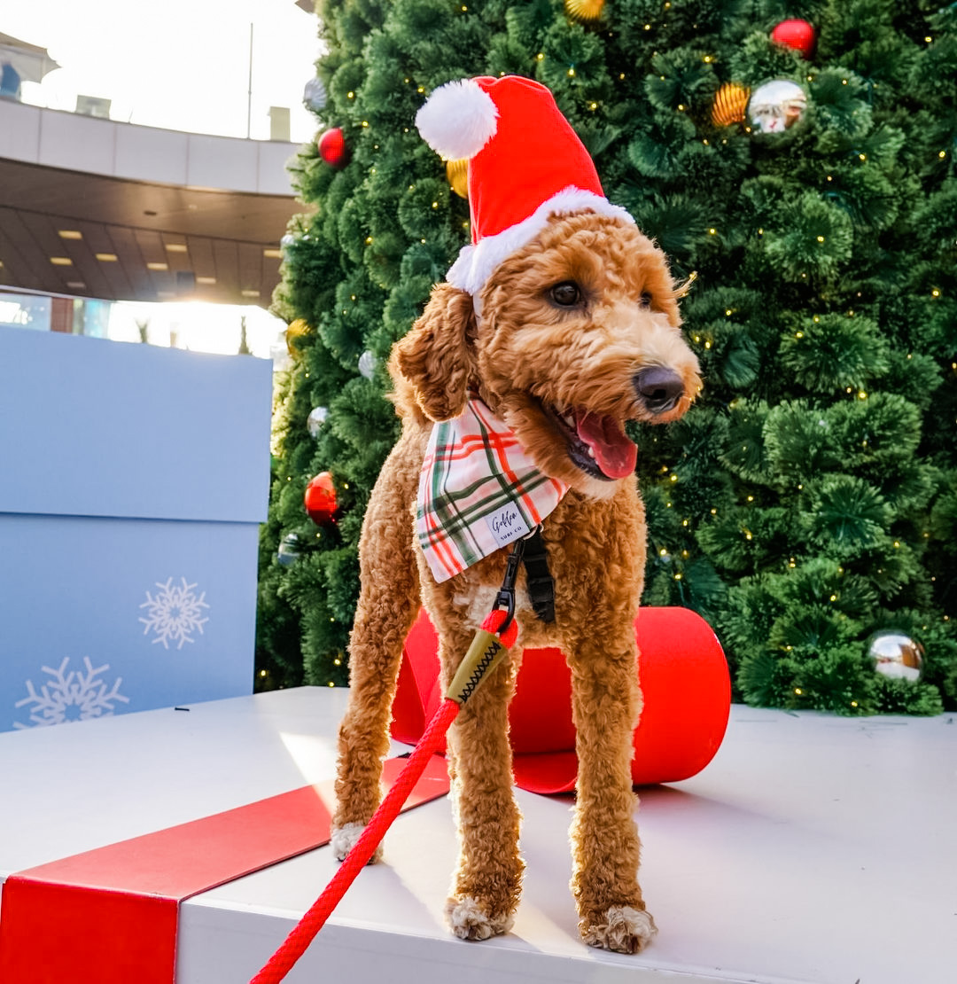 santa monica place, santa clause