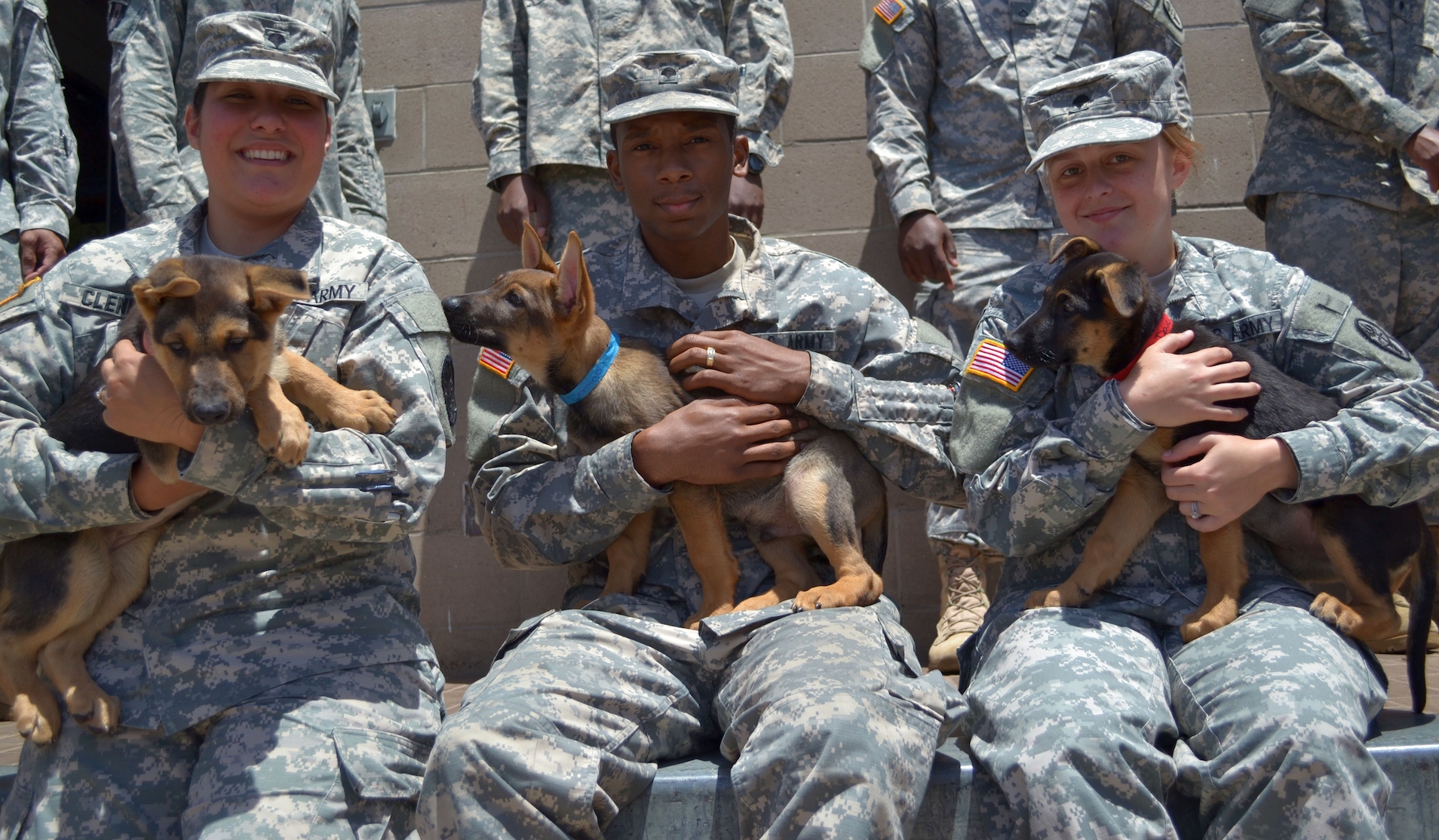 military, dog adoption helen woodward animal center, veteran's day