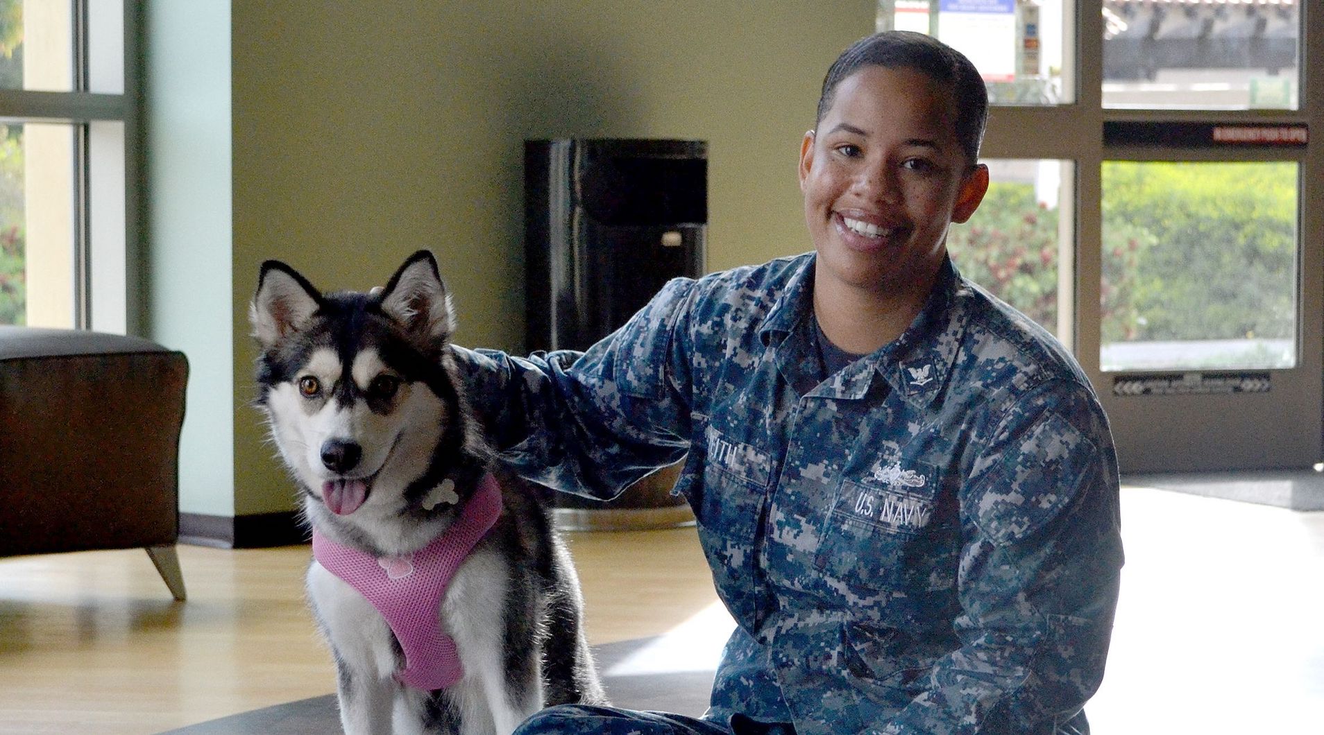 military, dog adoption helen woodward animal center, veteran's day