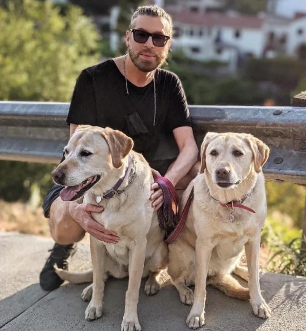 chaz dean, dogs