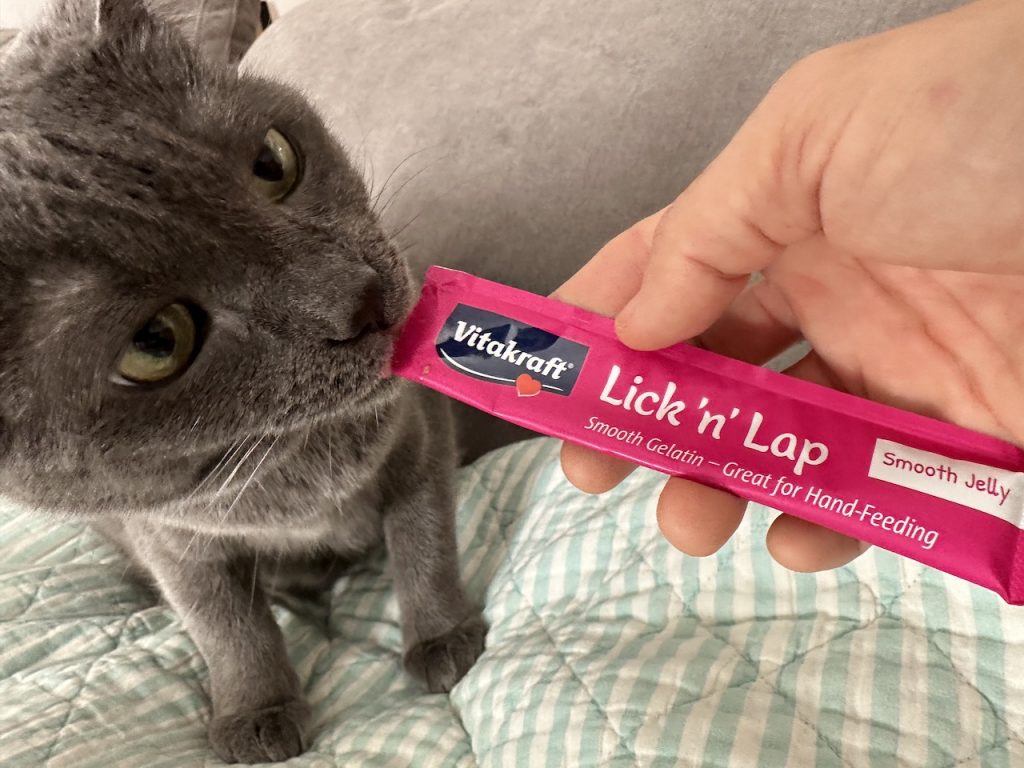 Vitakraft Lick 'n' Lap Cat Treats Get Four Paws Up | LATF USA NEWS