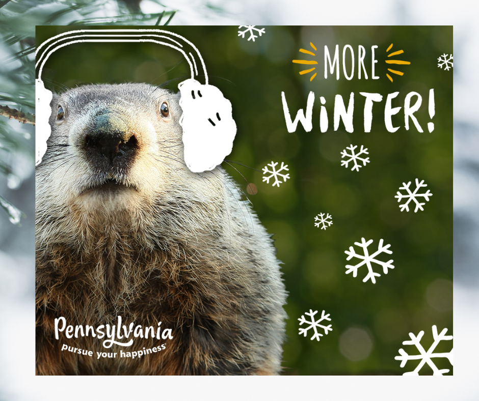 Punxsutawney Phil Sees His Shadow Yet Again on the 137th Groundhog Day