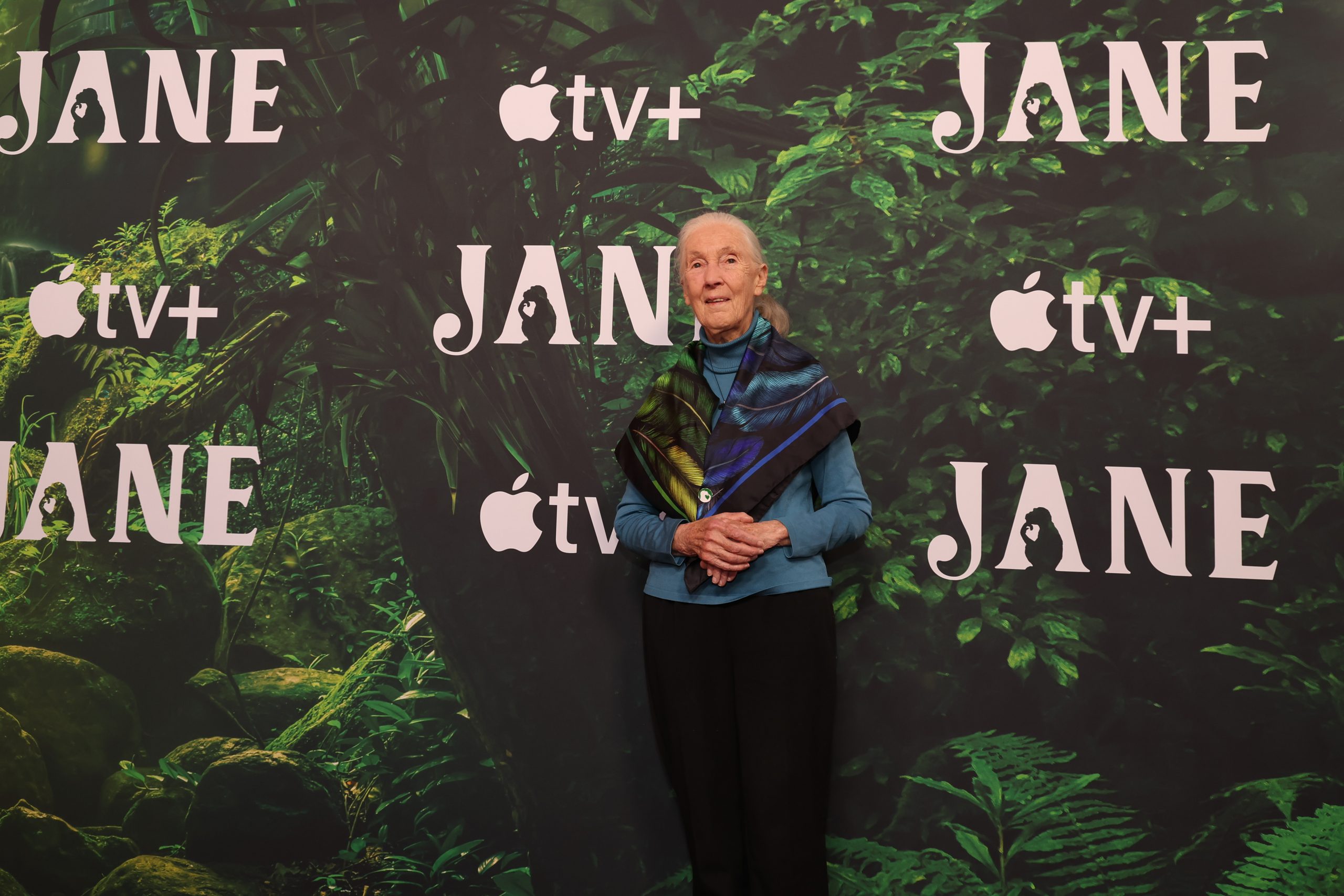 dr. jane goodall
